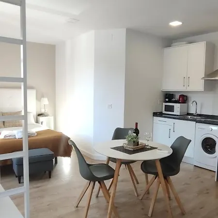 Premium Historic Center & Parking Daire