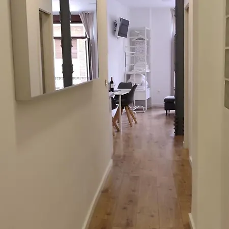 Premium Historic Center & Parking Apartment